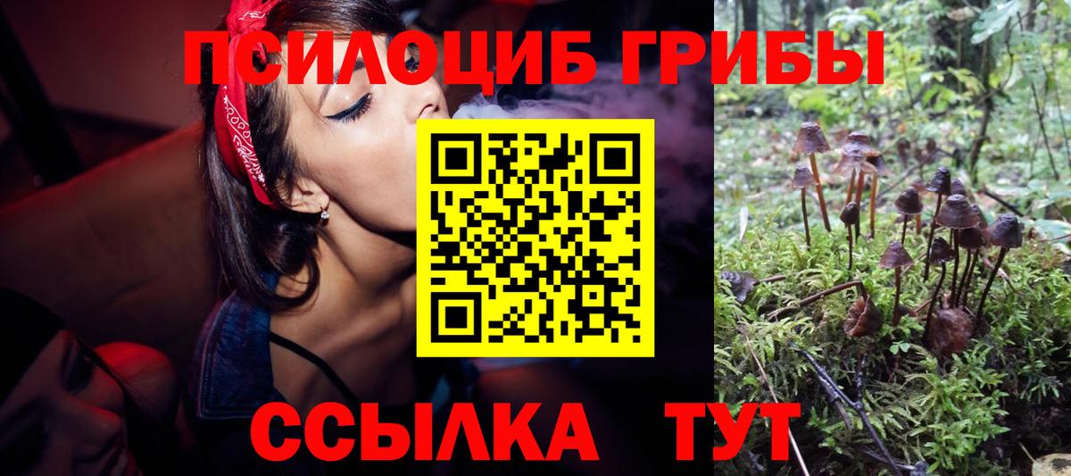 Галлюциногенные грибы MAGIC MUSHROOMS Советская Гавань