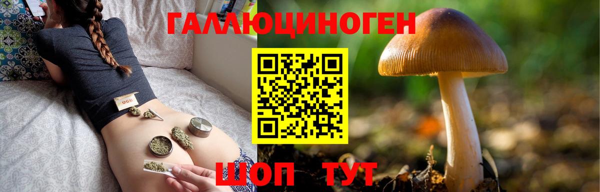 Советская Гавань  хочу наркоту  Вход с VPN  Галлюциногенные грибы Cubensis 